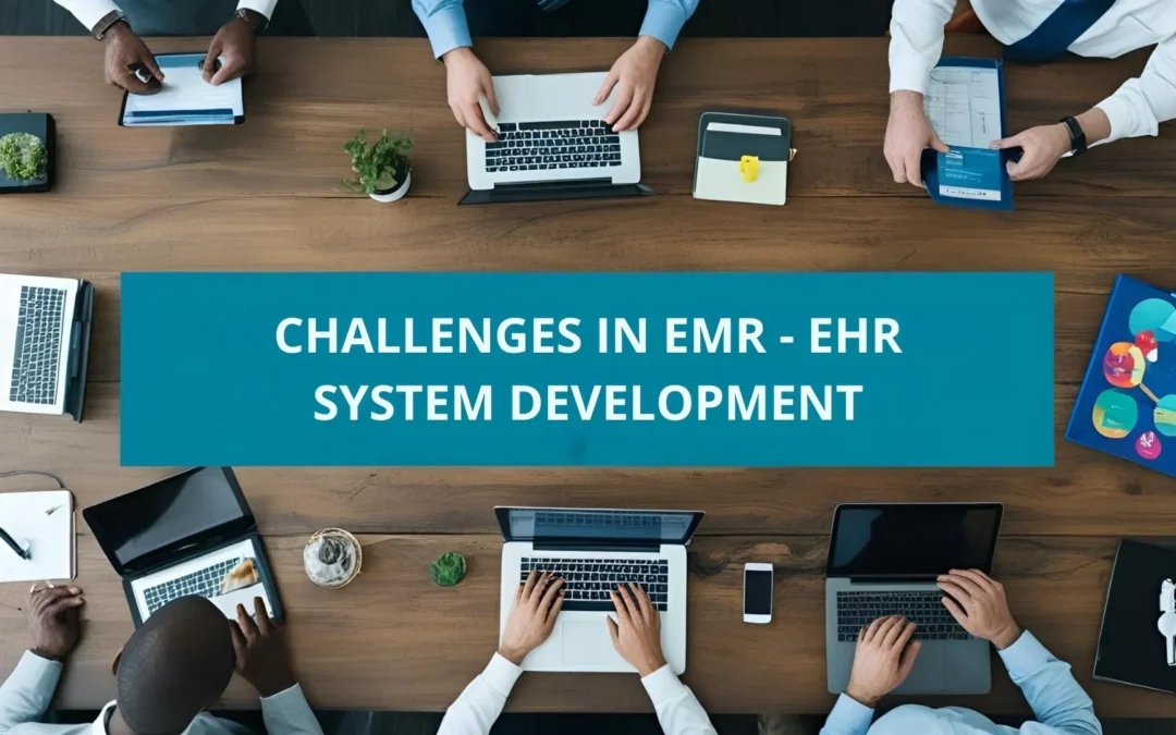 Challenges in EMR EHR System Development