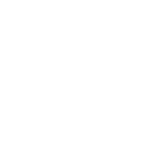 Healthcare First Mindset