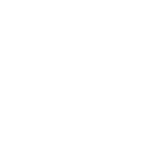 Payment Modernization