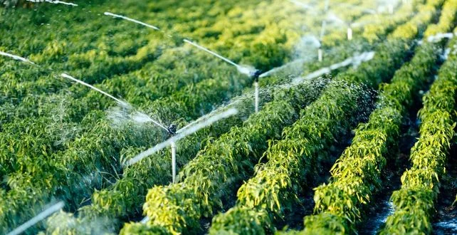 Risk Compliance Automation 1